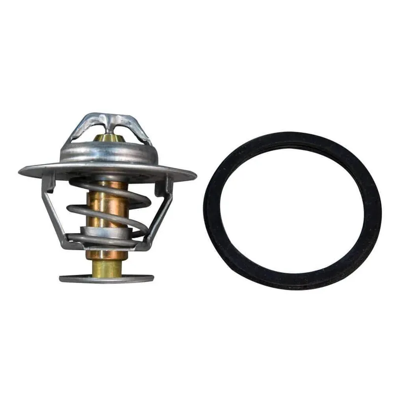 Sierra Thermostat Kit #18-3539 Buy Online