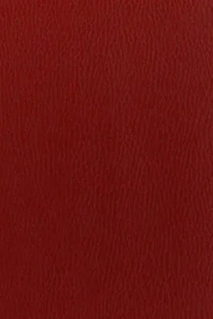 Authentic Boat Marine Auto RV Seat Vinyl | Classic Red Foam Back Supra Boats (YD)